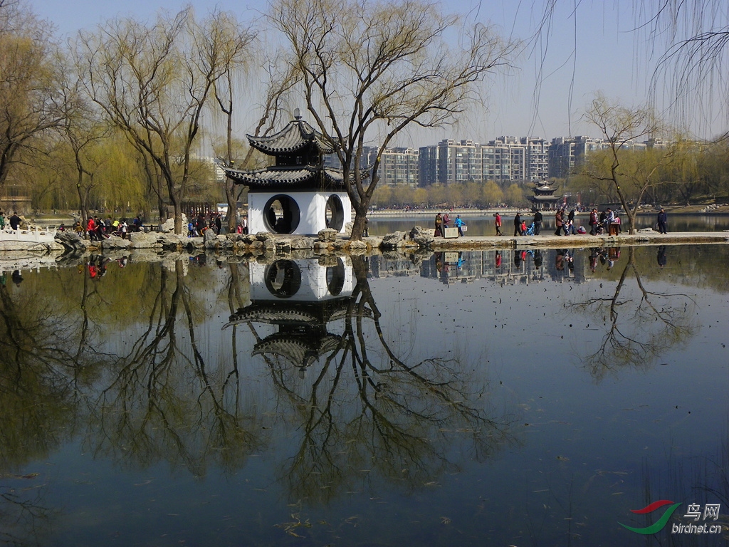 100_0042_����.jpg