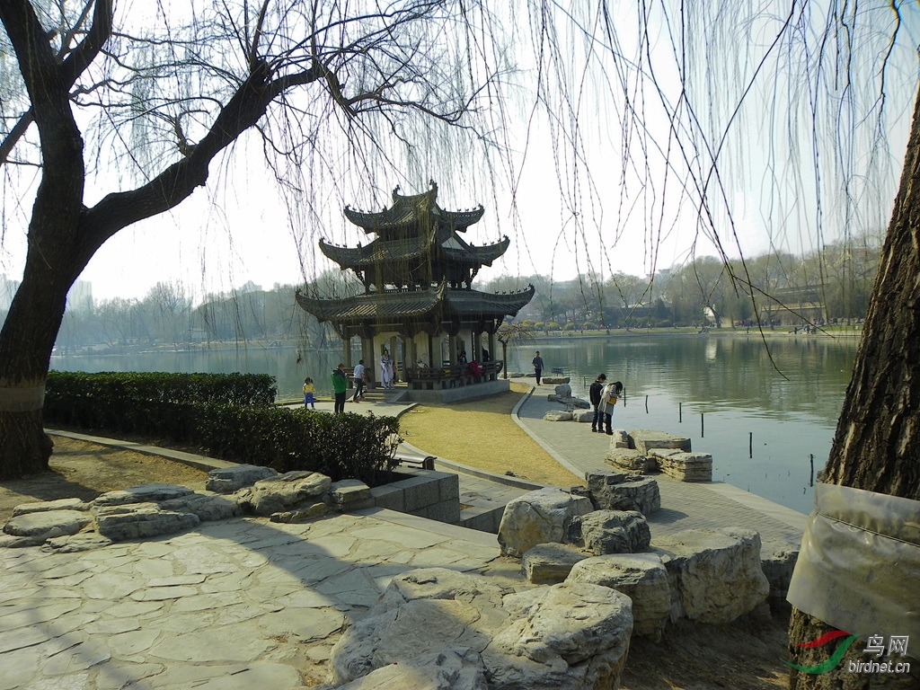 100_0150_����.jpg