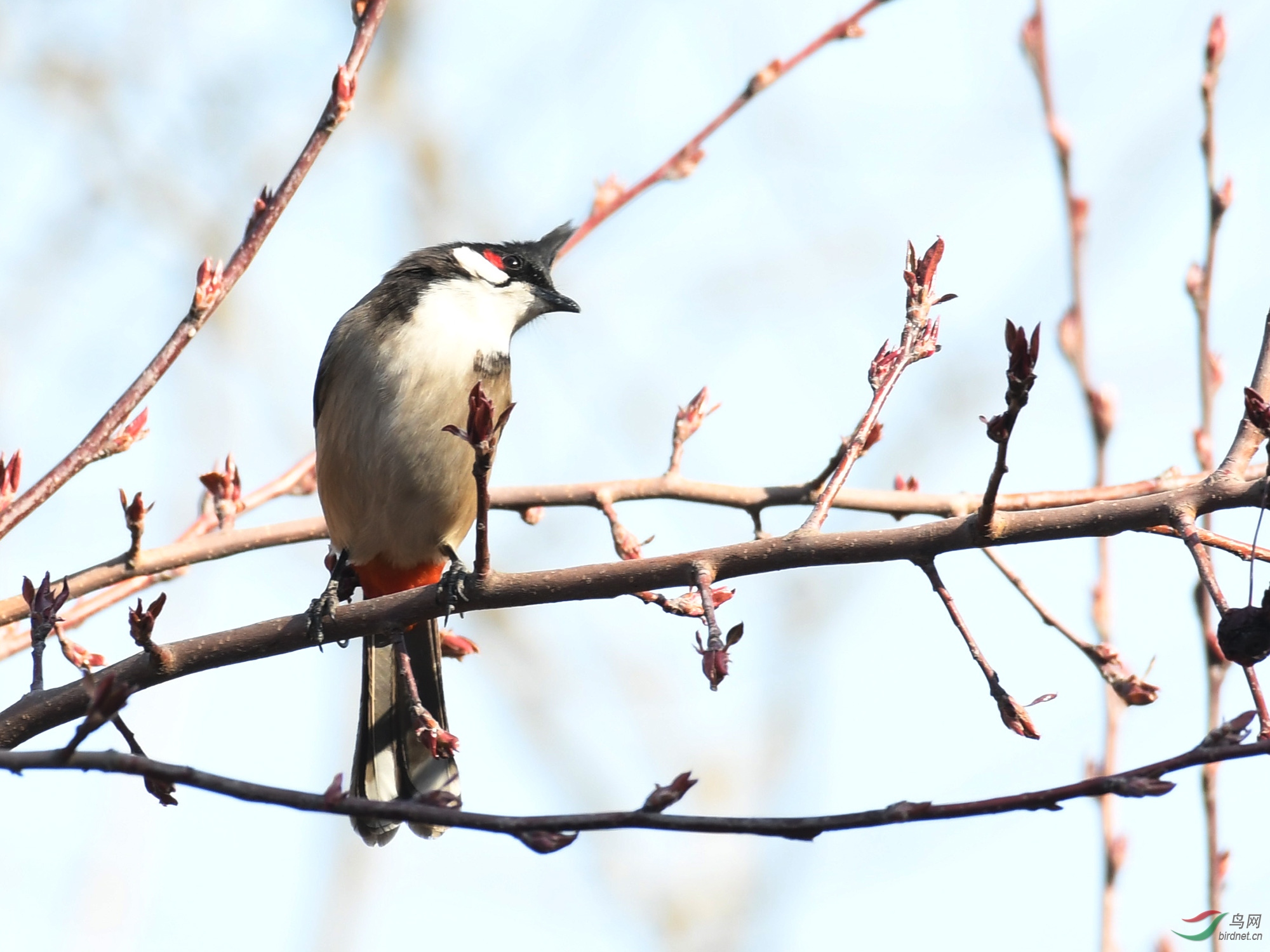 ������Ӱ 441����.jpg