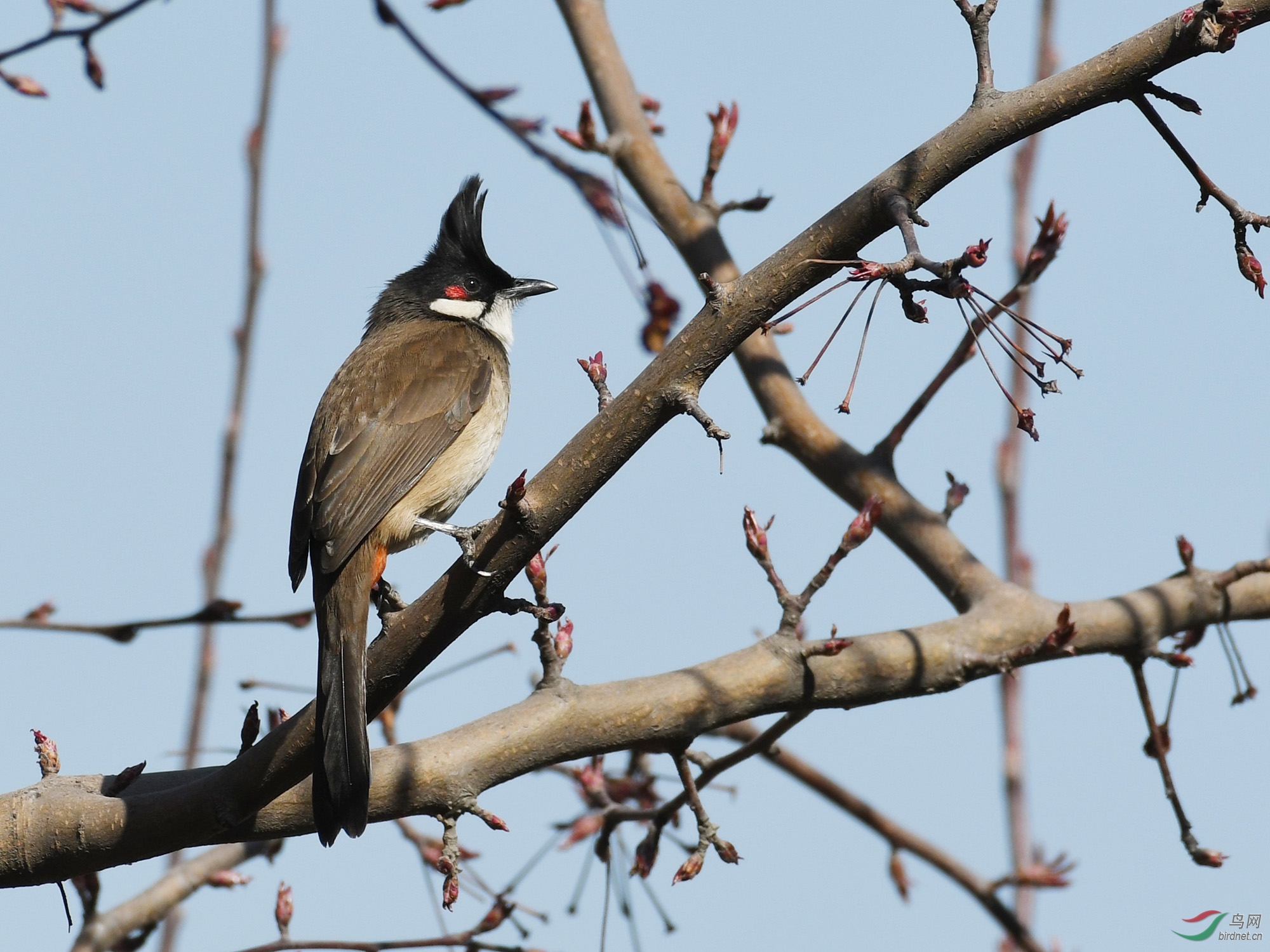 ������Ӱ 941����.jpg