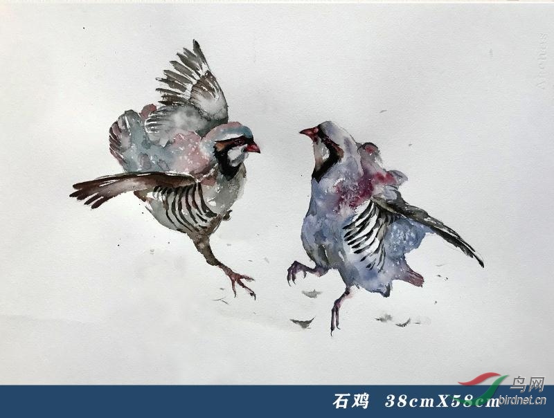 ΢��ͼƬ_20200317221551.jpg