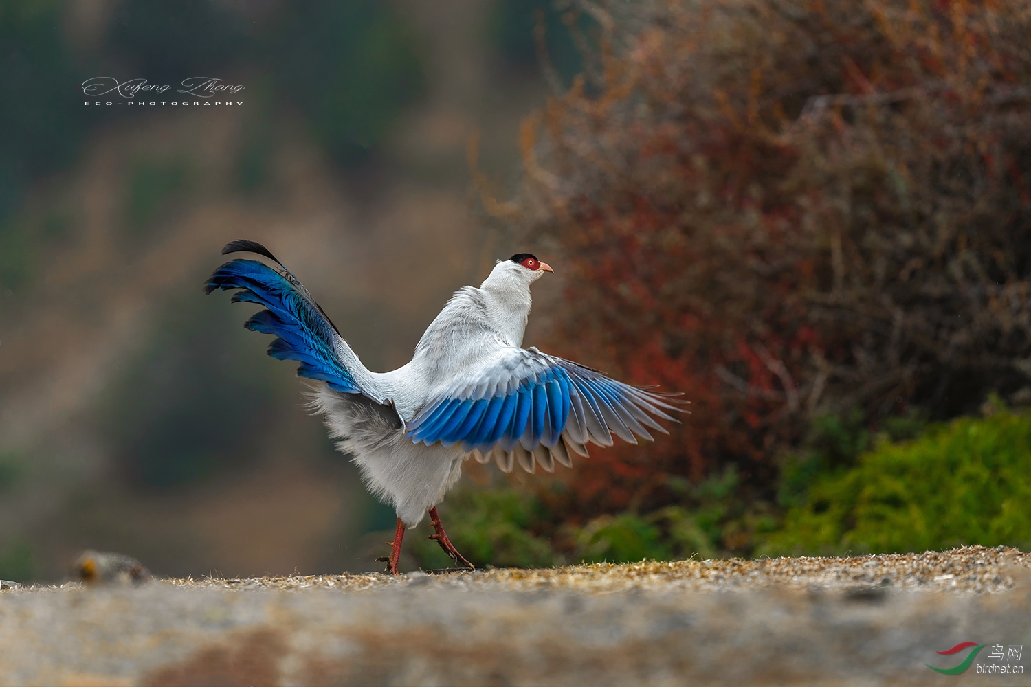 _DSC4352=.jpg