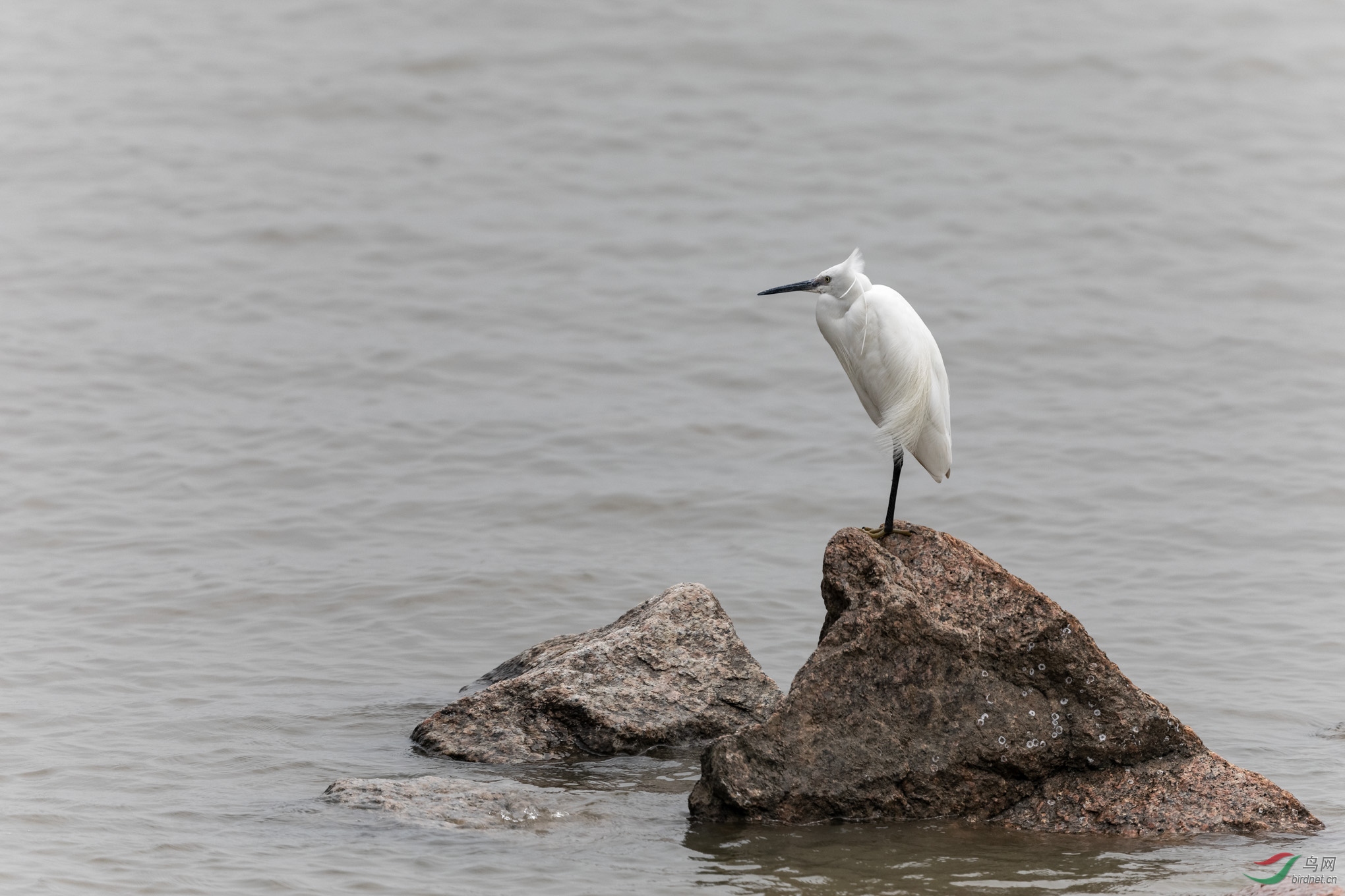 IMG_2816_DxO.jpg