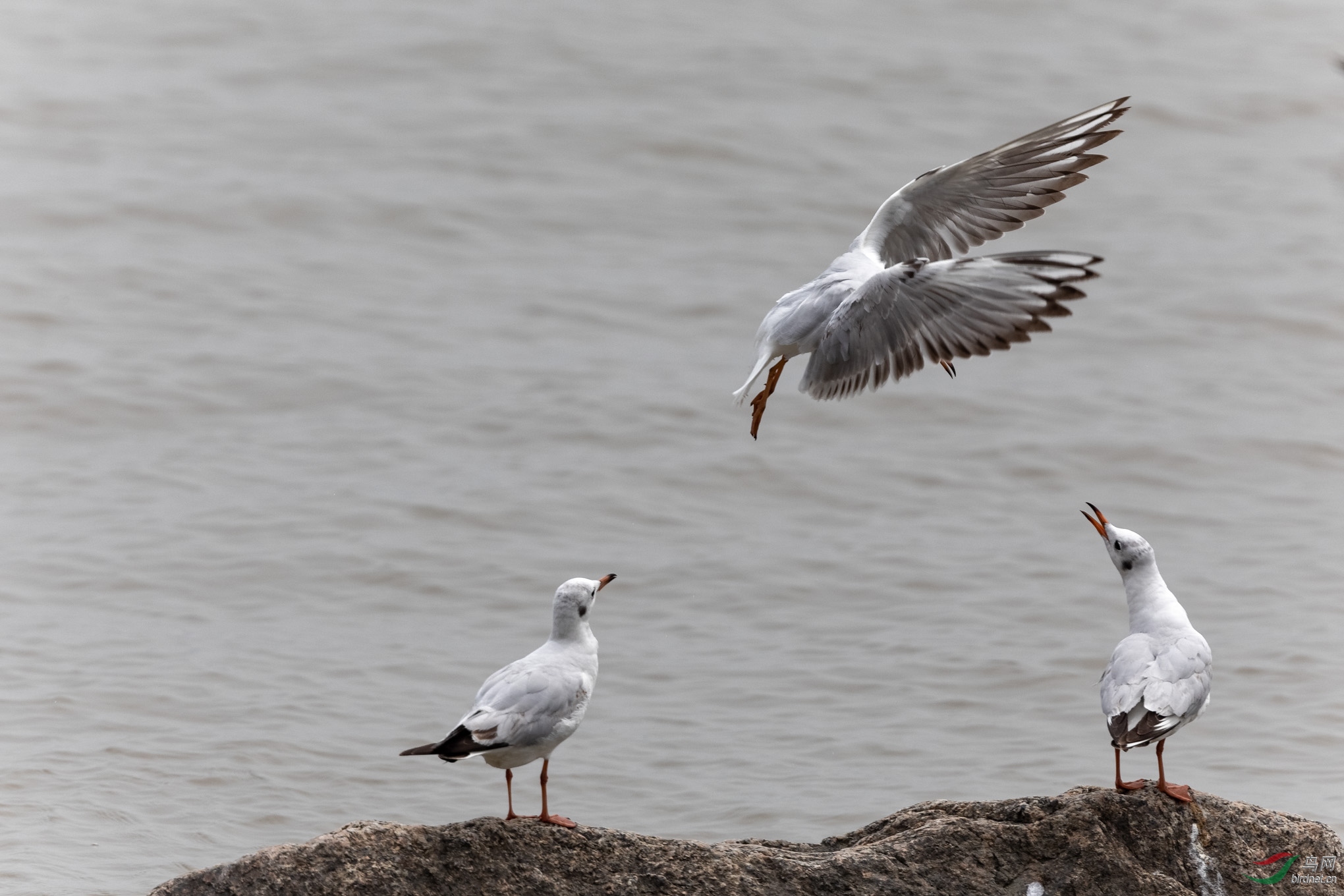 IMG_2810_DxO.jpg