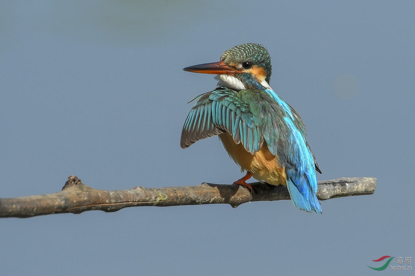 DSC_3004-2.jpg