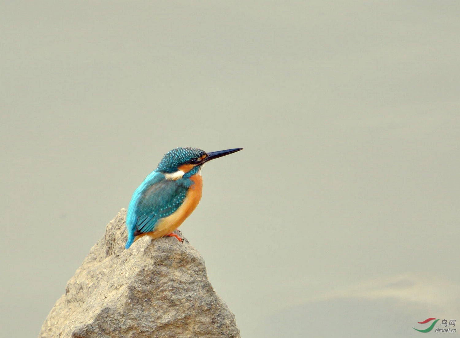 1DS_6069.jpg
