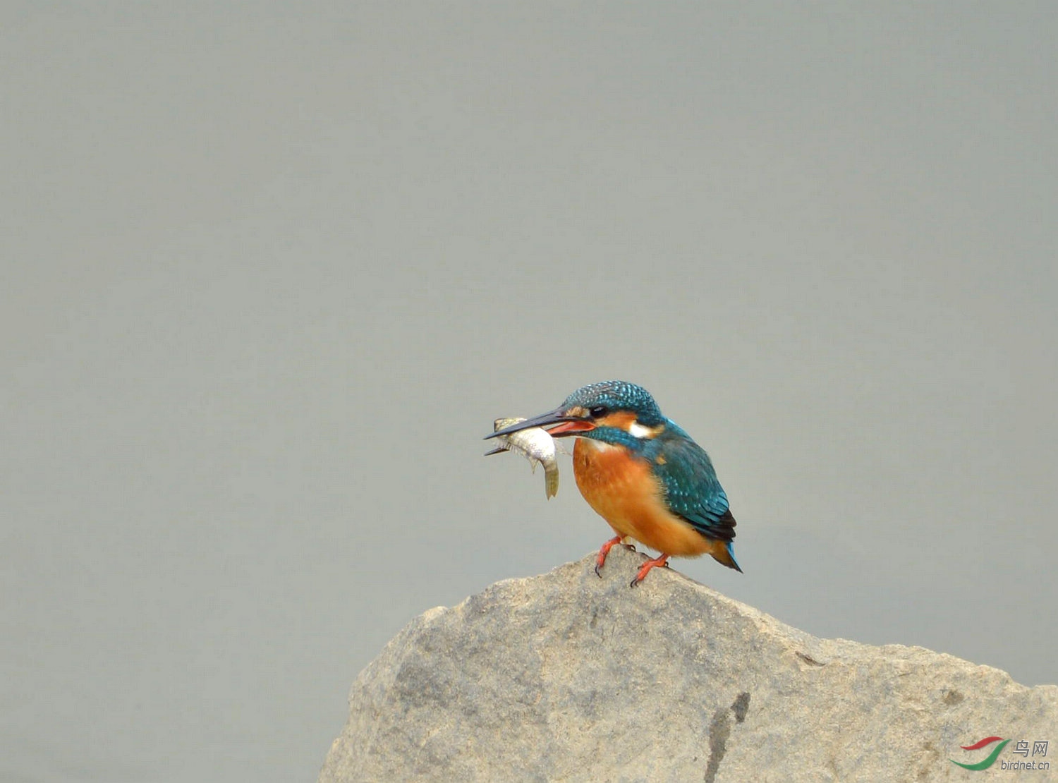 1DS_6222.jpg