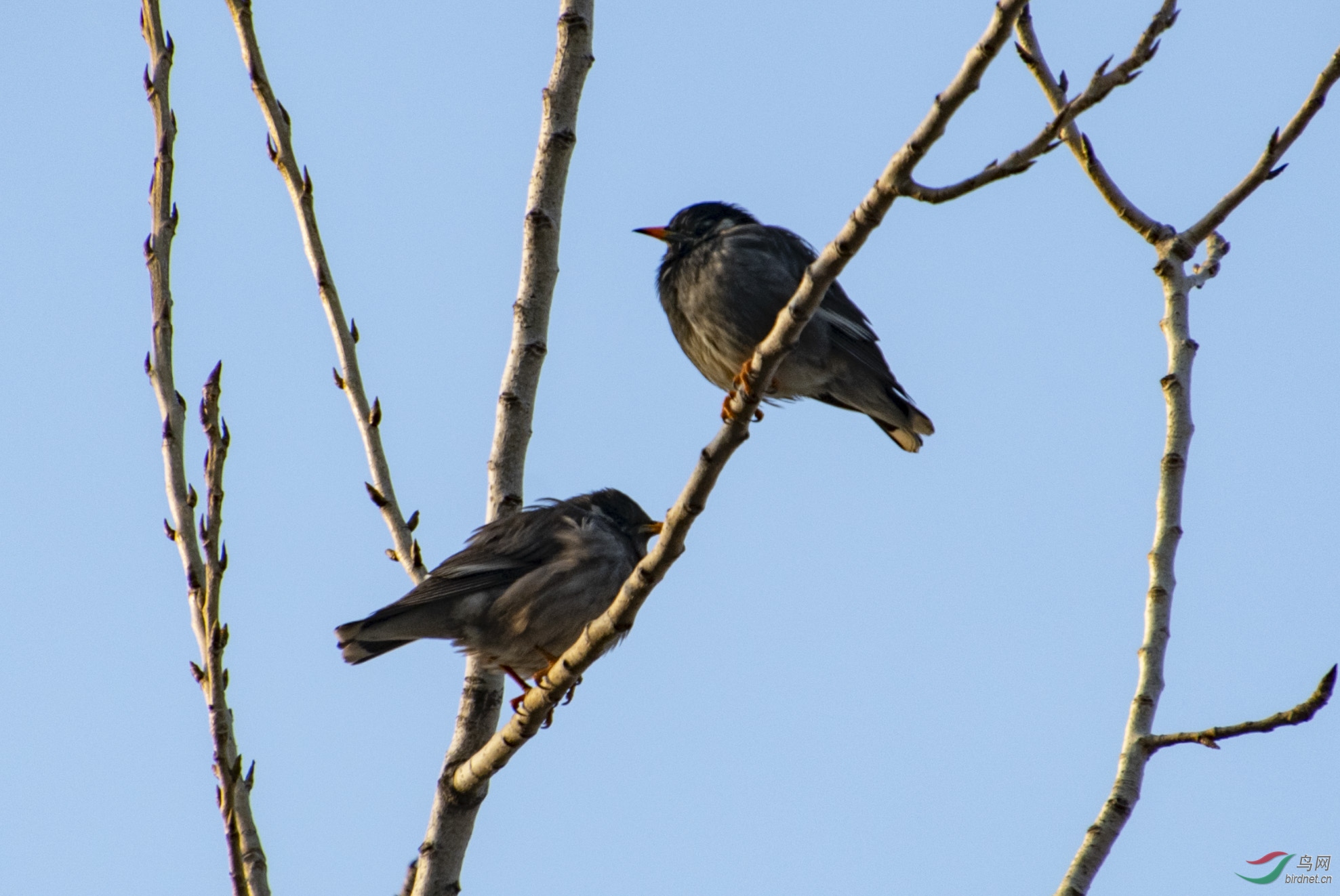 D50_7349.jpg