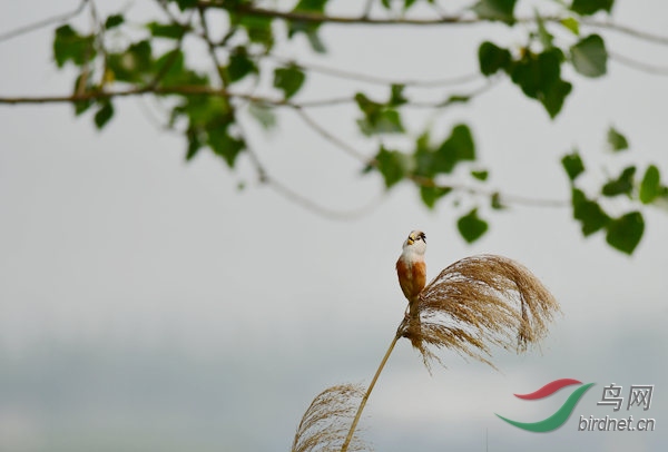 DSC_3840_����.jpg