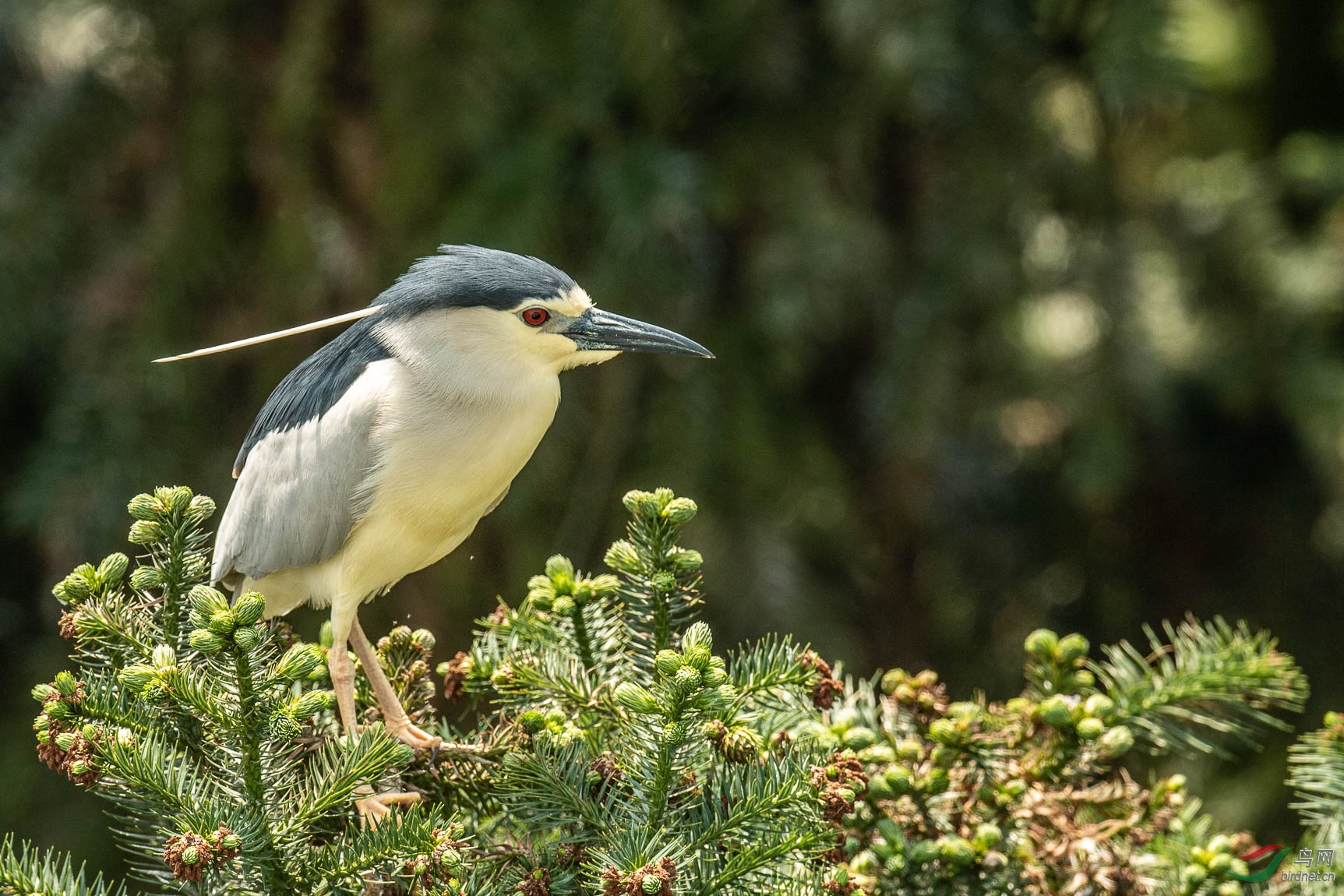 DSC_9349.JPG