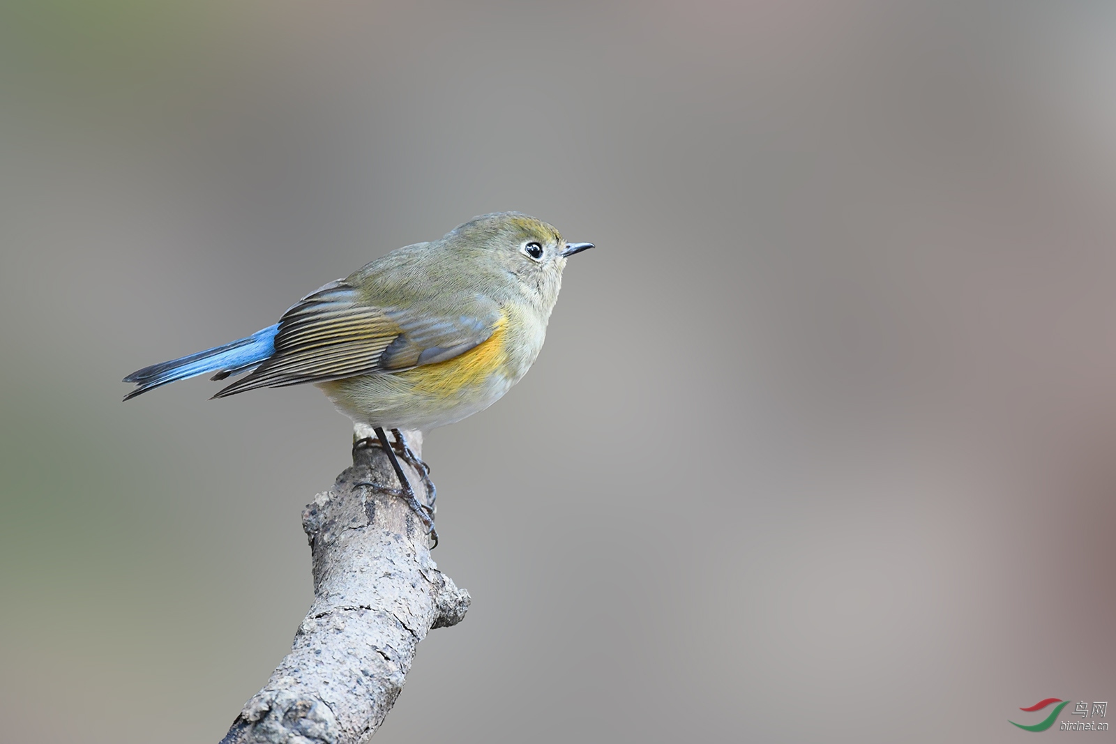 DSC_4806.jpg