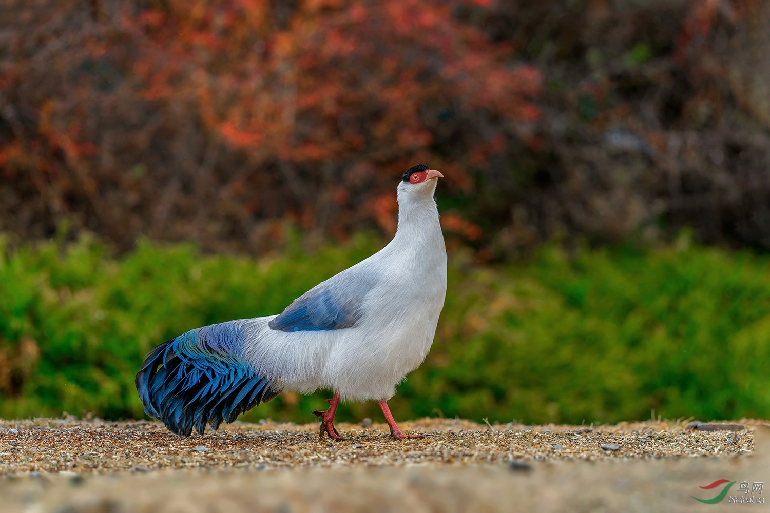 _DSC4194=.jpg