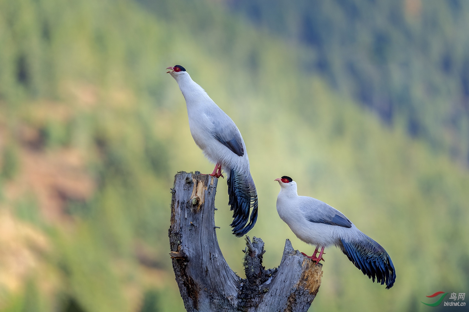 _DSC6708=.jpg