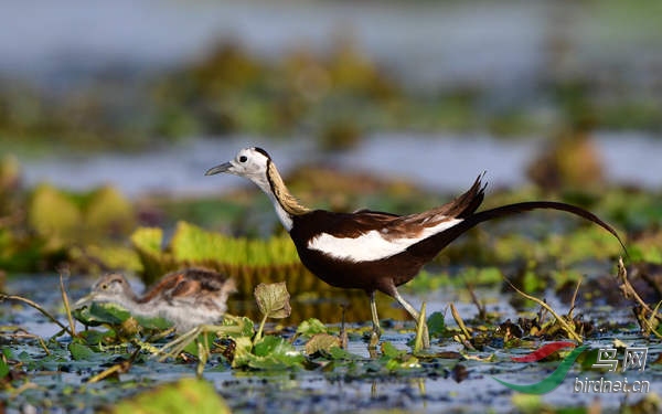 3_����_����_����_����_����_���� - ����.jpg
