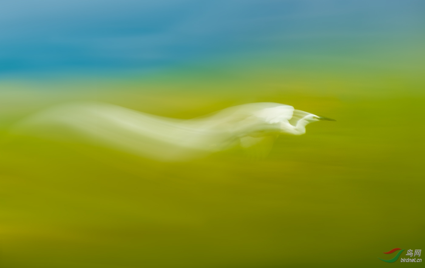 ΢��ͼƬ_202003171a.jpg