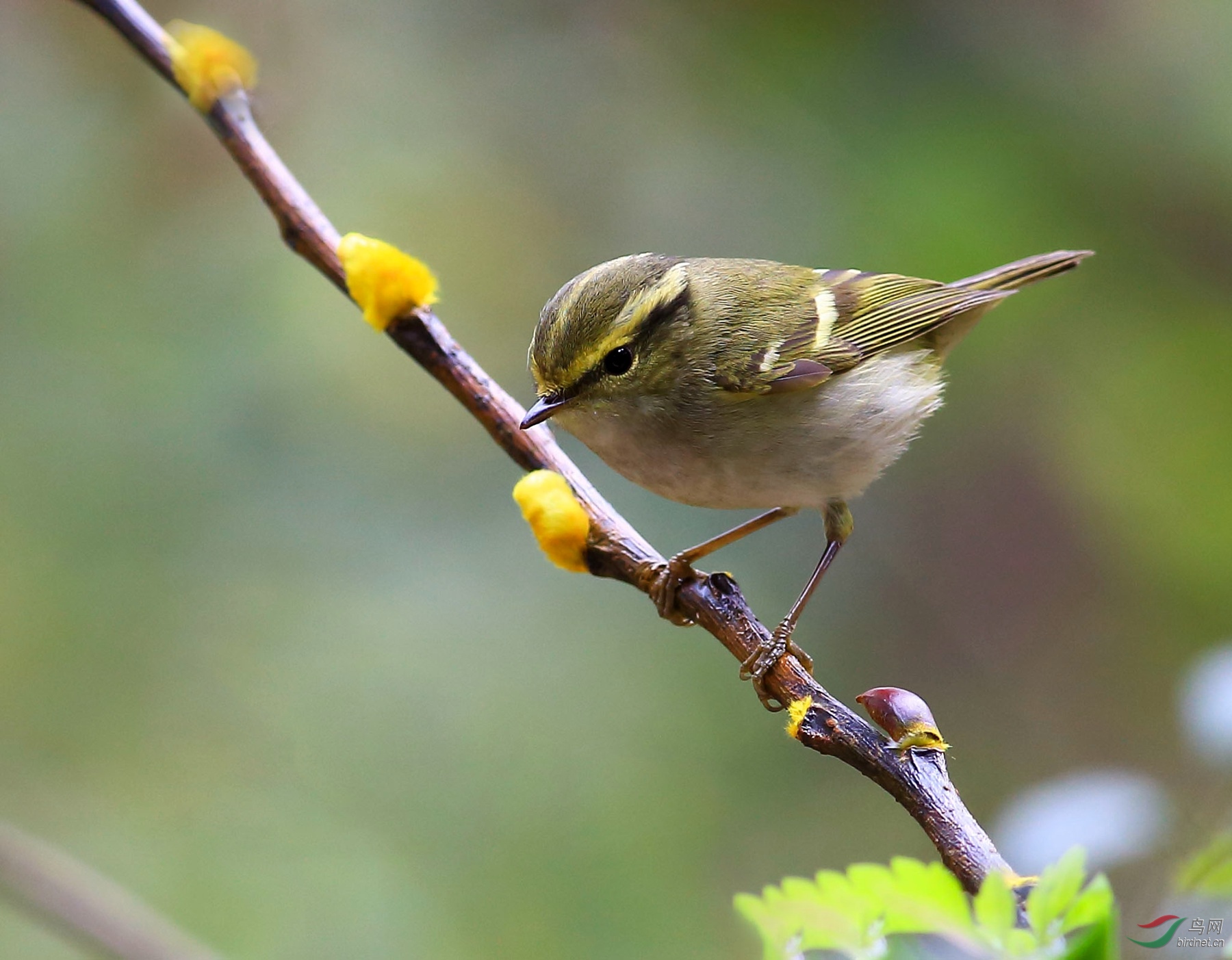 2020-01-19 12-51-09 (2).JPG