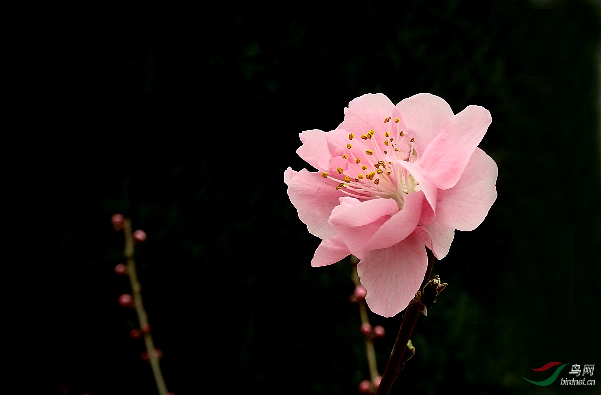 P3151643.jpg