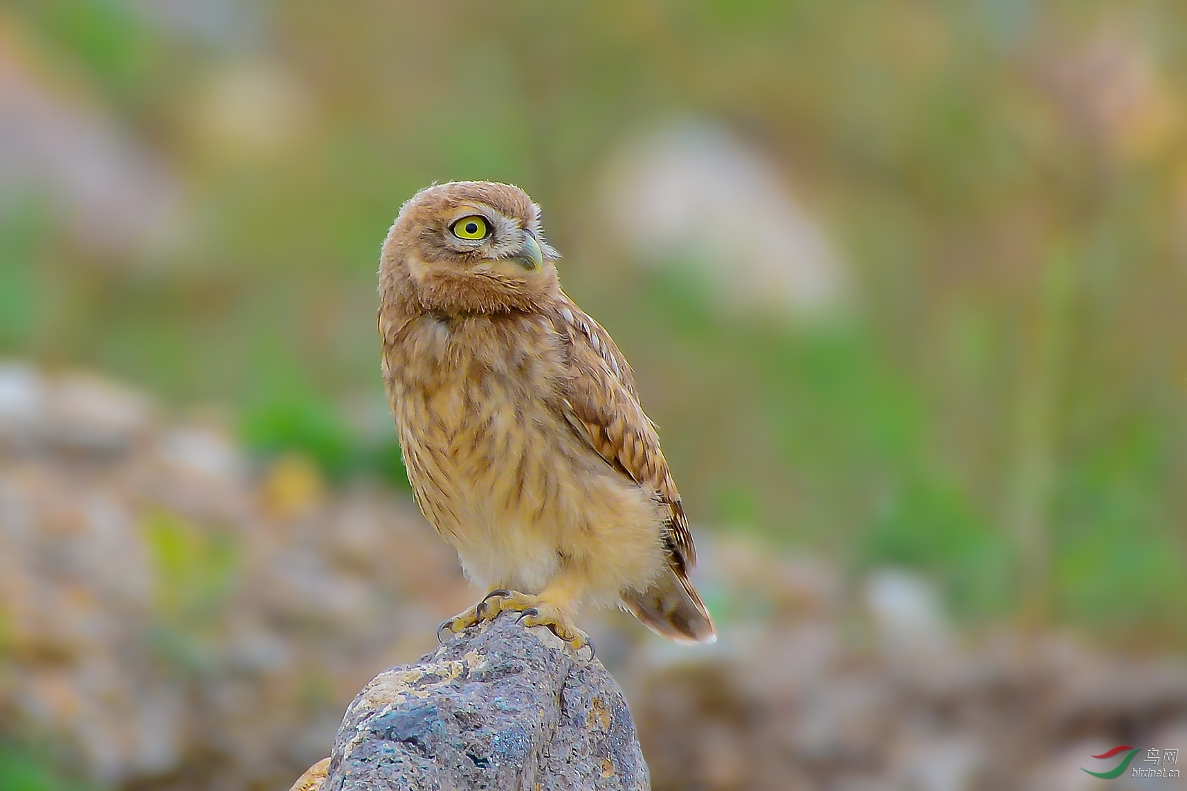 DSC_0997.JPG