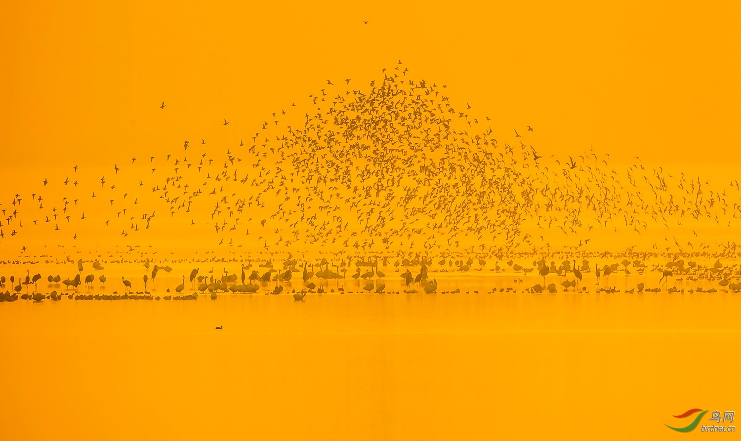 AG9I4444.jpg
