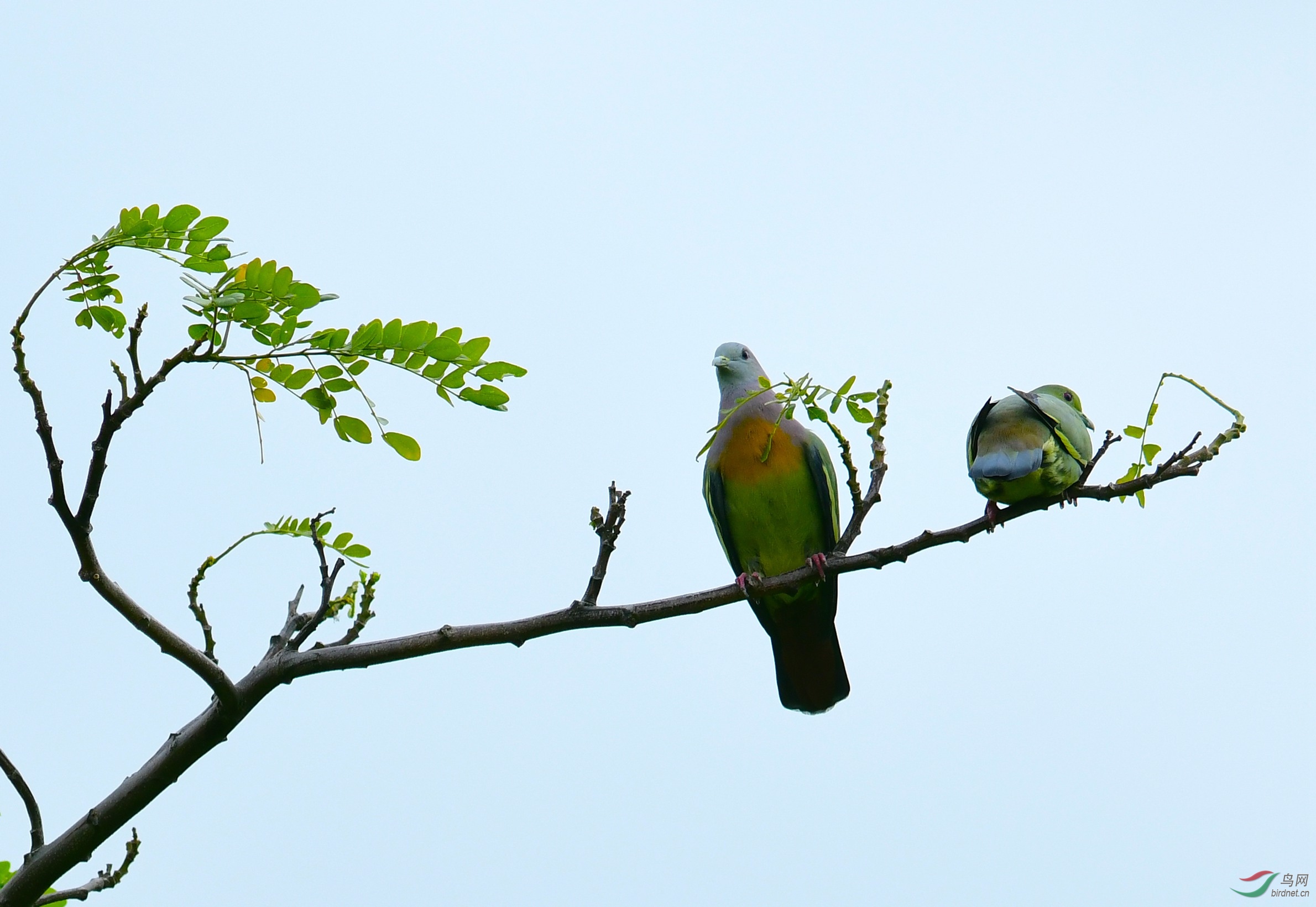 DSC_3762.JPG
