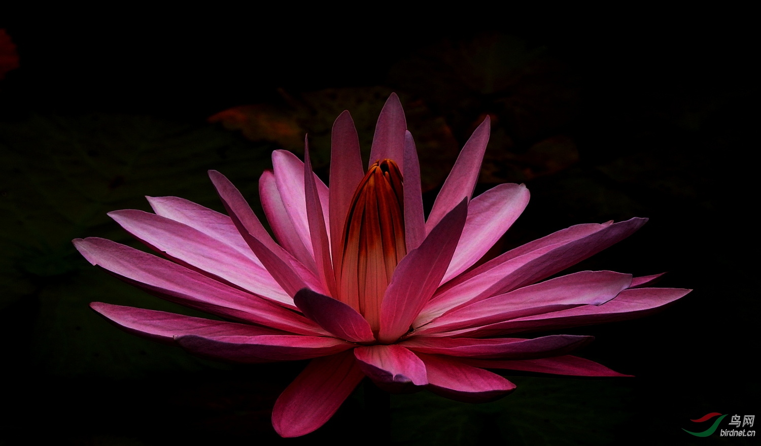 DSCN4702.JPG
