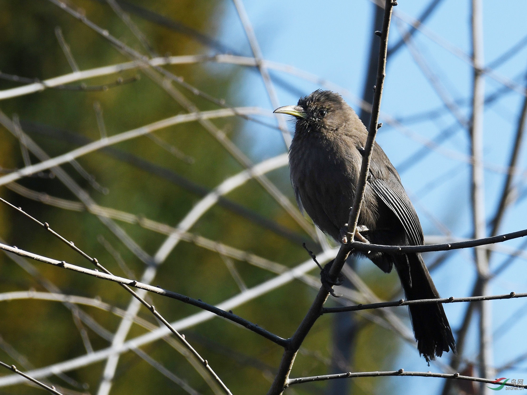 ������Ӱ 1022����.jpg