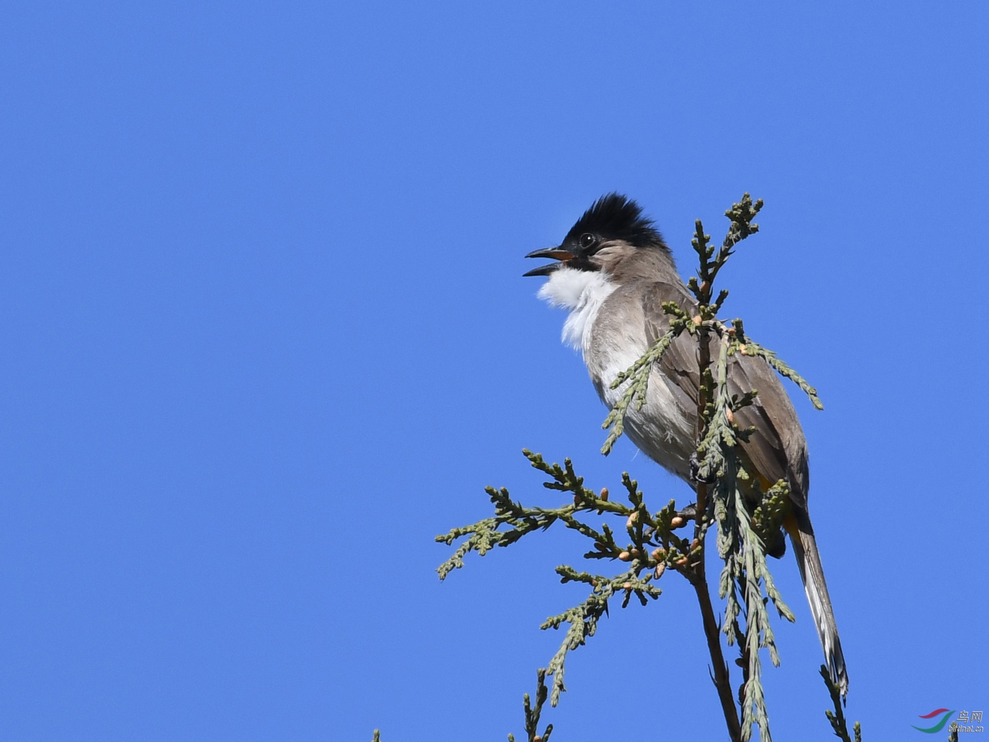 ������Ӱ 1330����.jpg