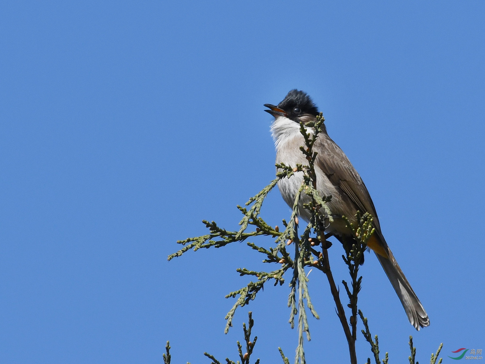 ������Ӱ 1235����.jpg