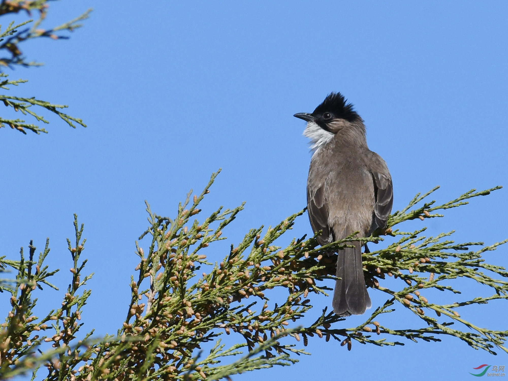 ������Ӱ 1198����.jpg