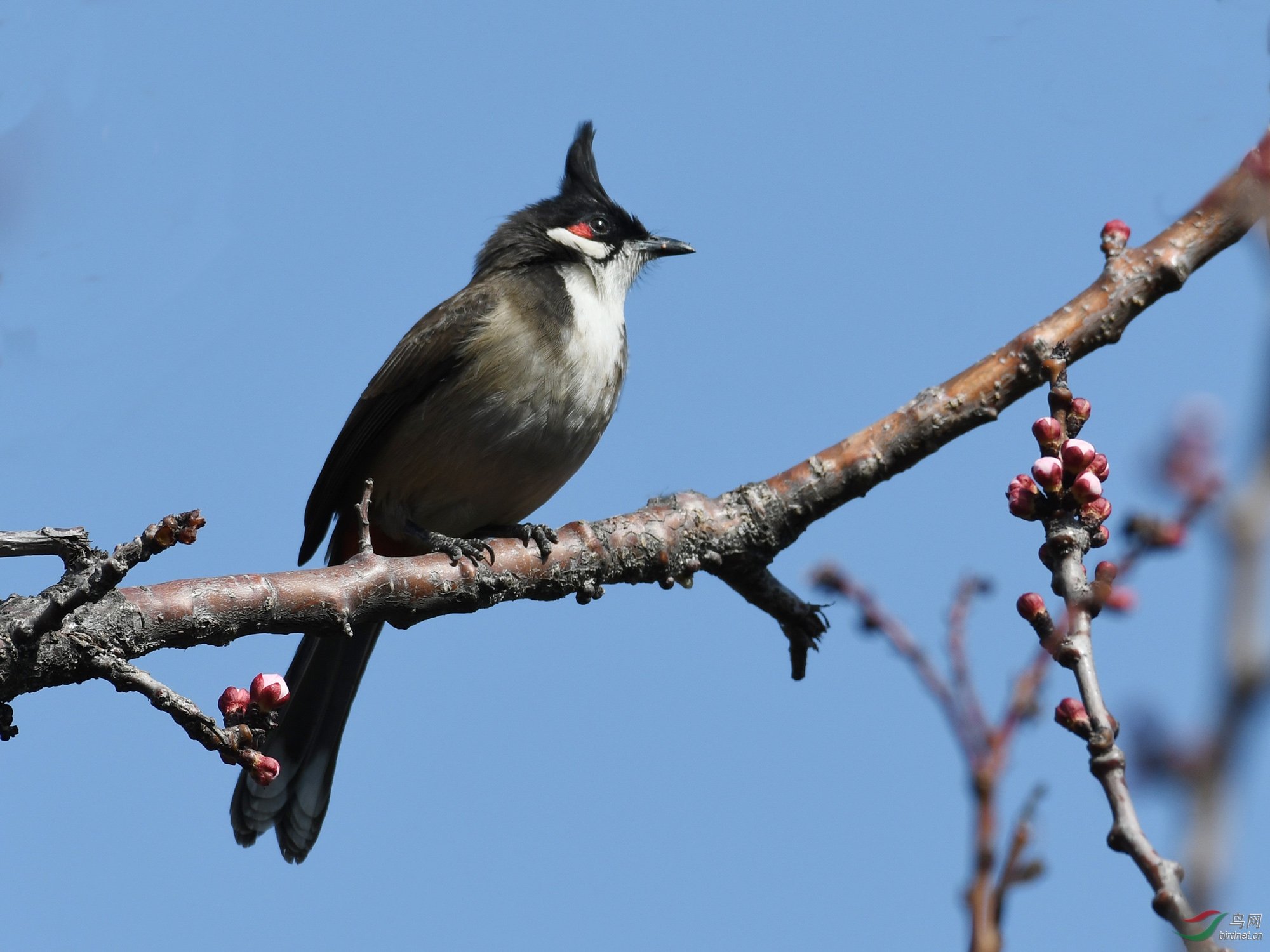 ������Ӱ 544����.jpg