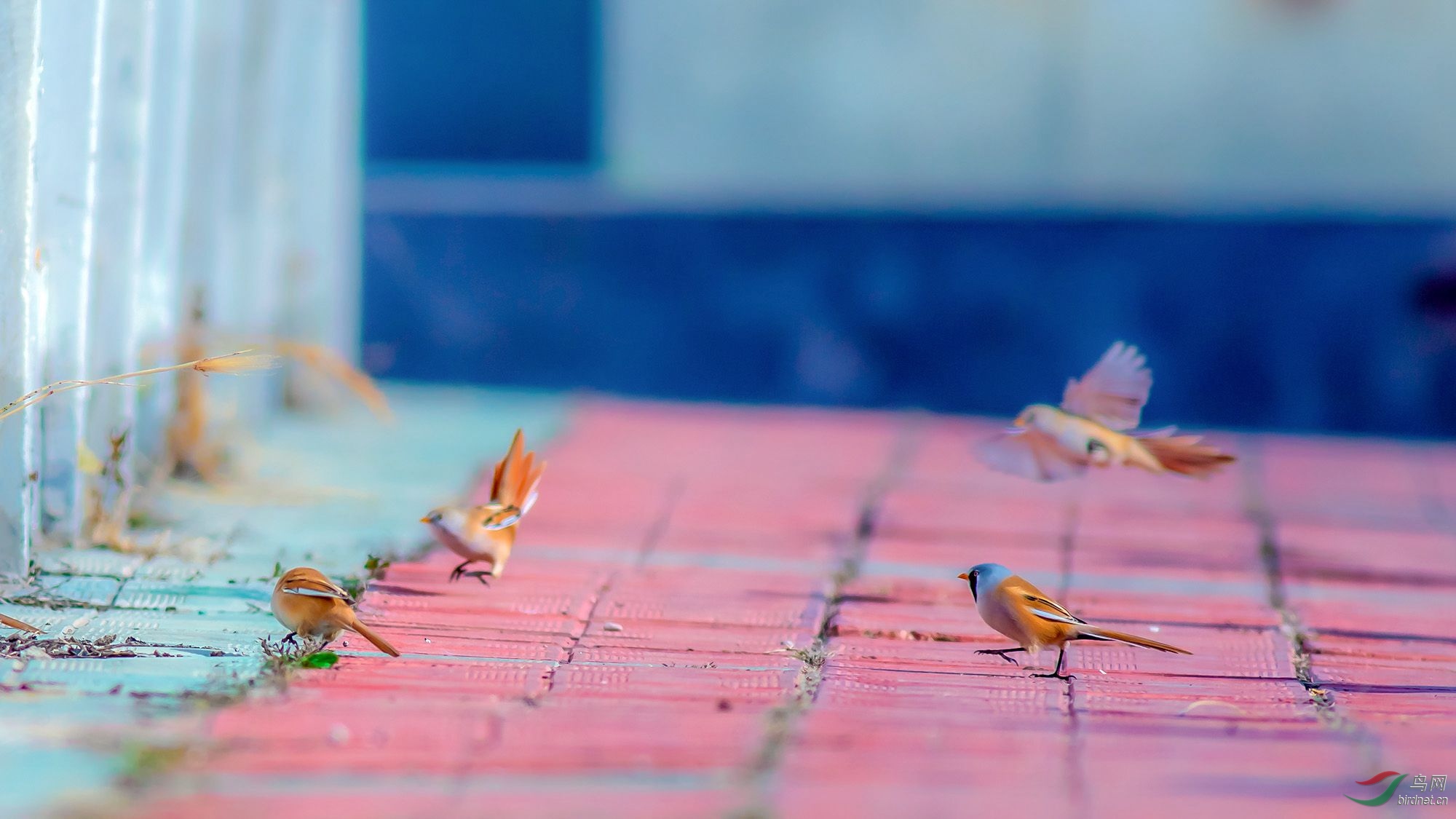 4J2A0417_2019.9.28-��Ӧ̫���� û�ĵ��ɵ�.jpg