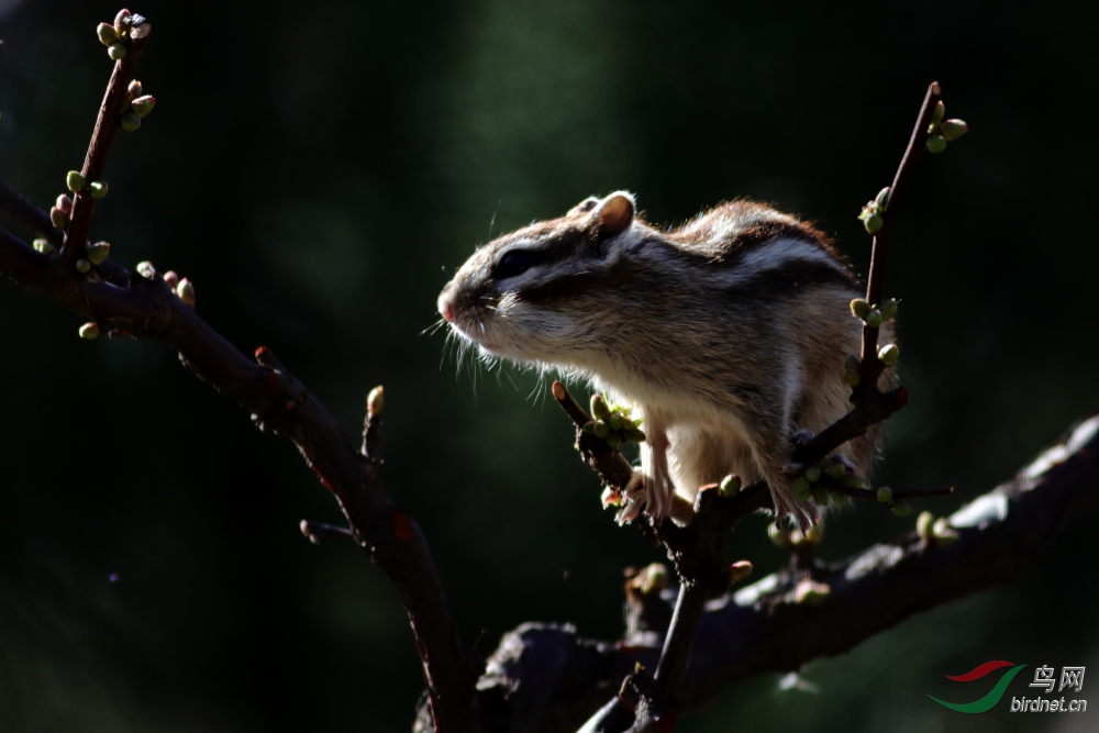 ���� (2).JPG