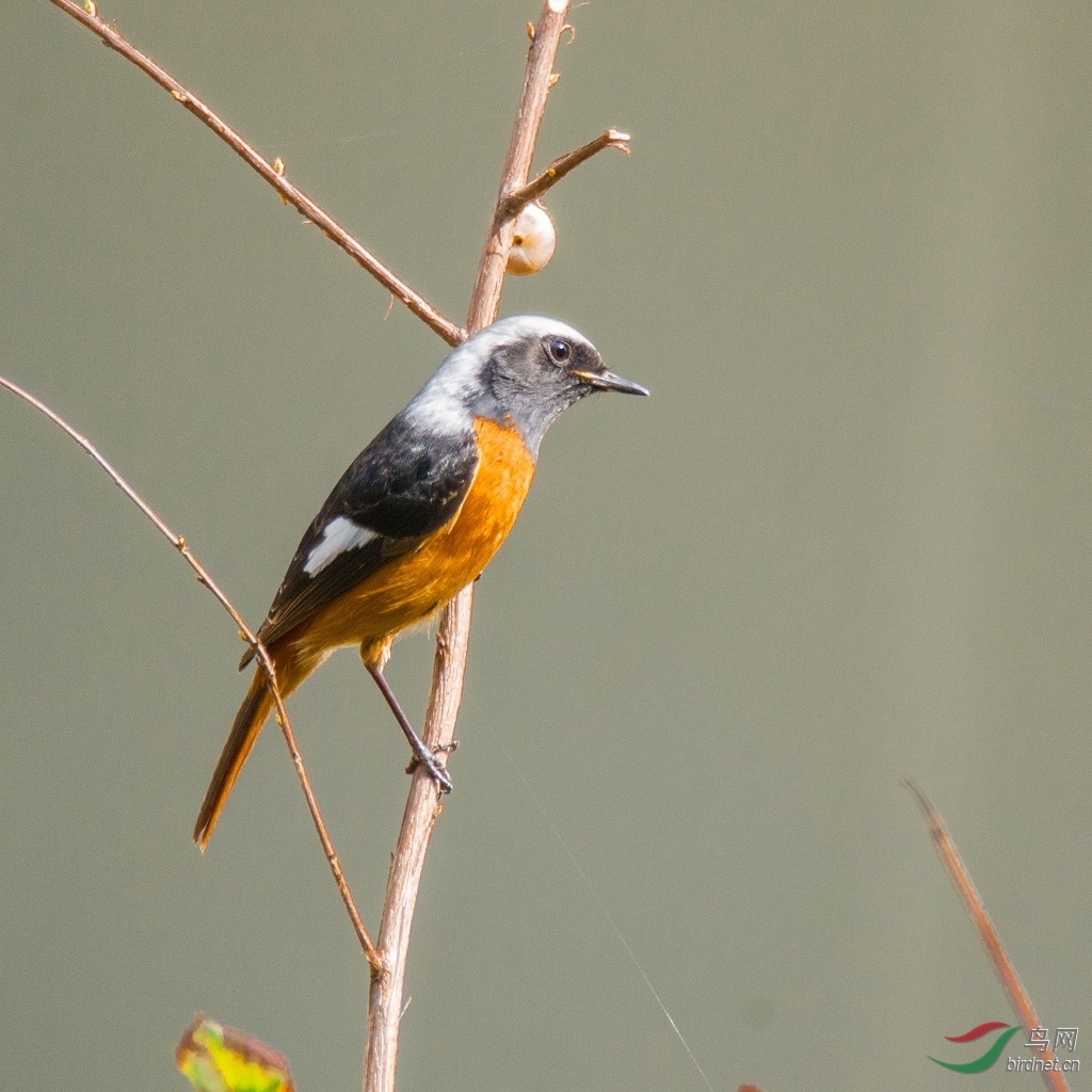 DSC_7574.jpg