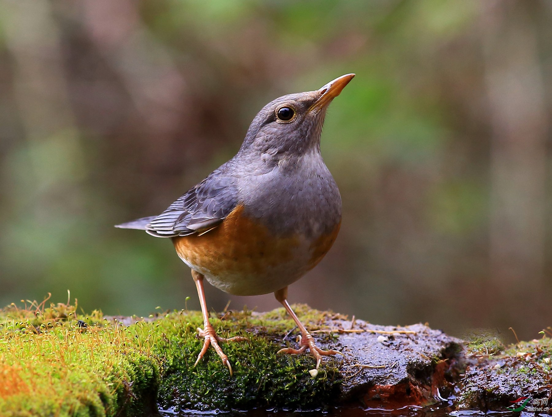 2020-01-20 10-00-26.JPG