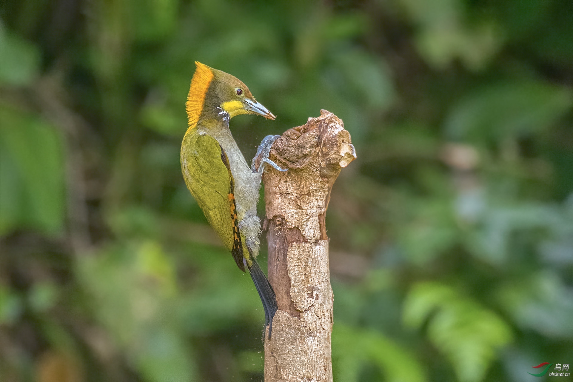 DSC_1437.jpg