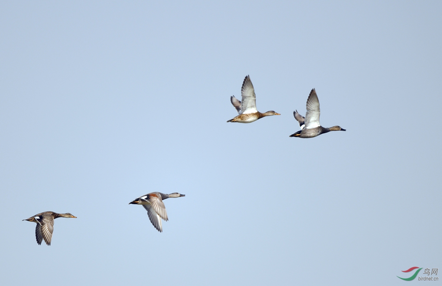 ���Ѽ ����������μ��ʪ��