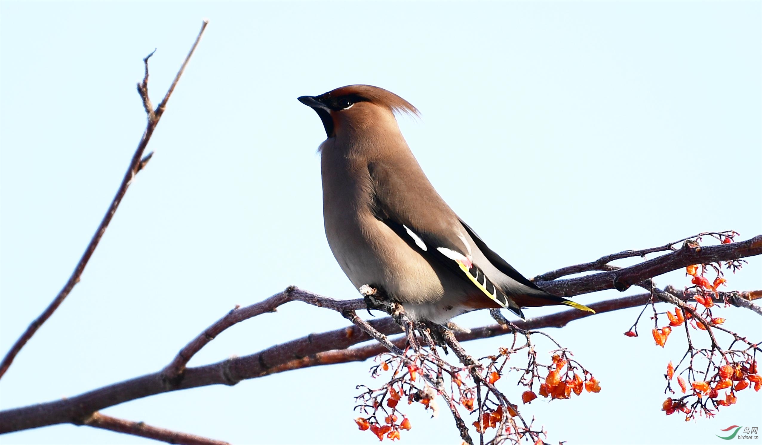 DSC_7717_����.jpg