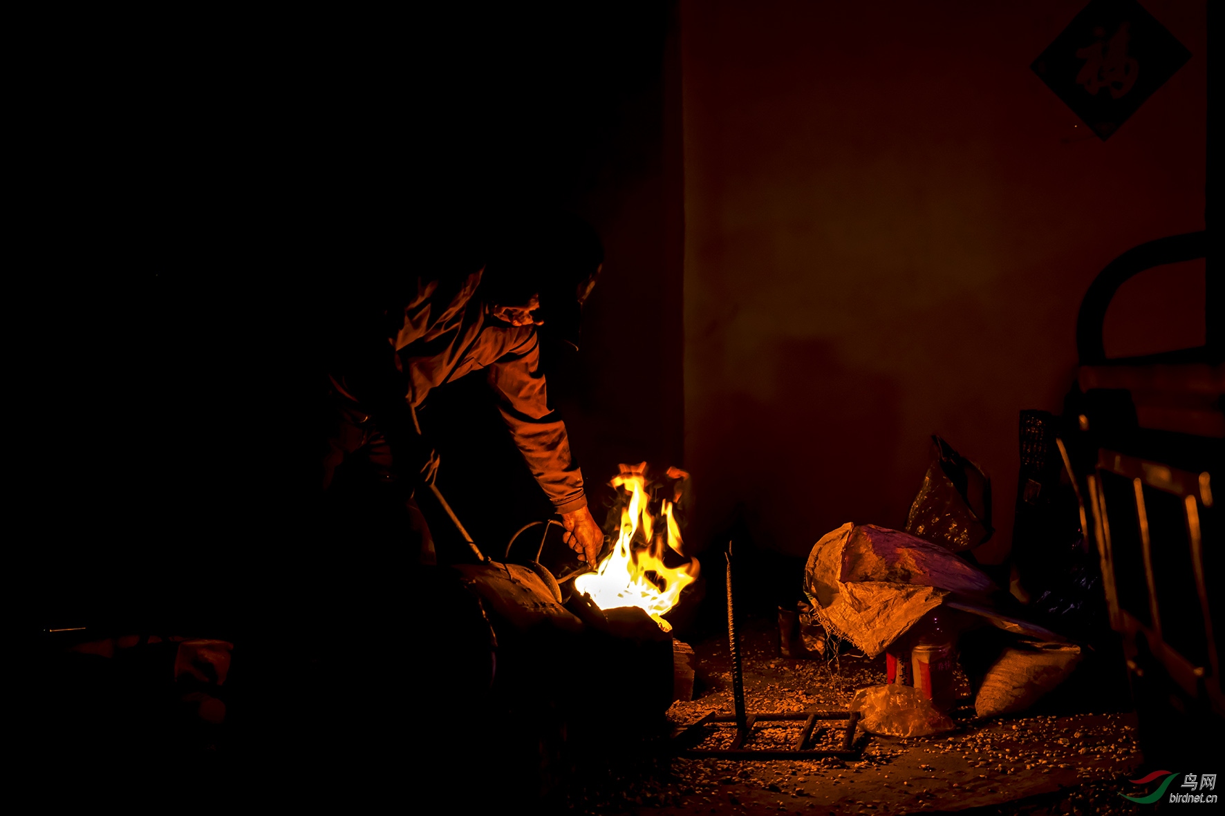 DSC_8413.jpg