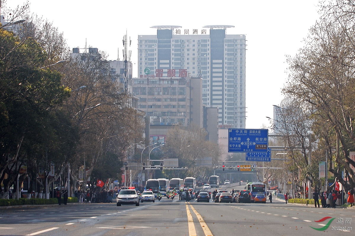 _MG_4073.JPG