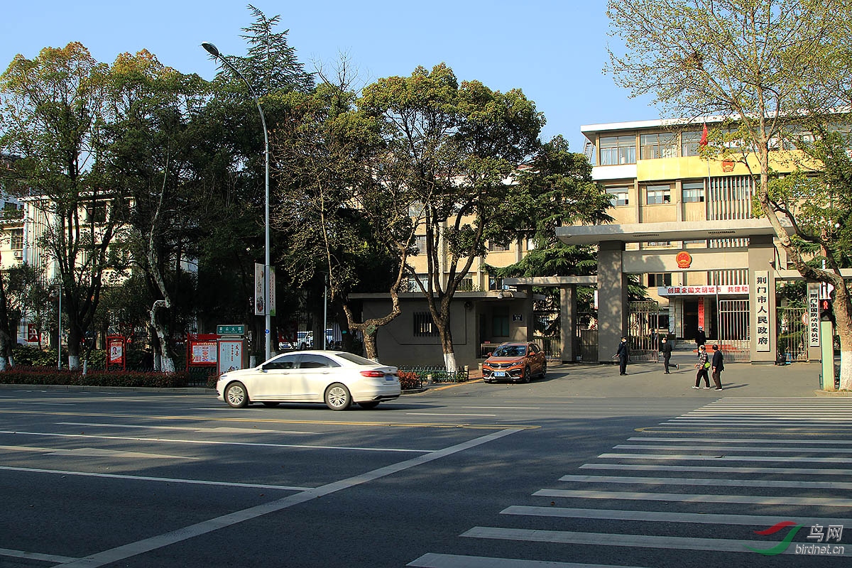 2F4A5331.JPG