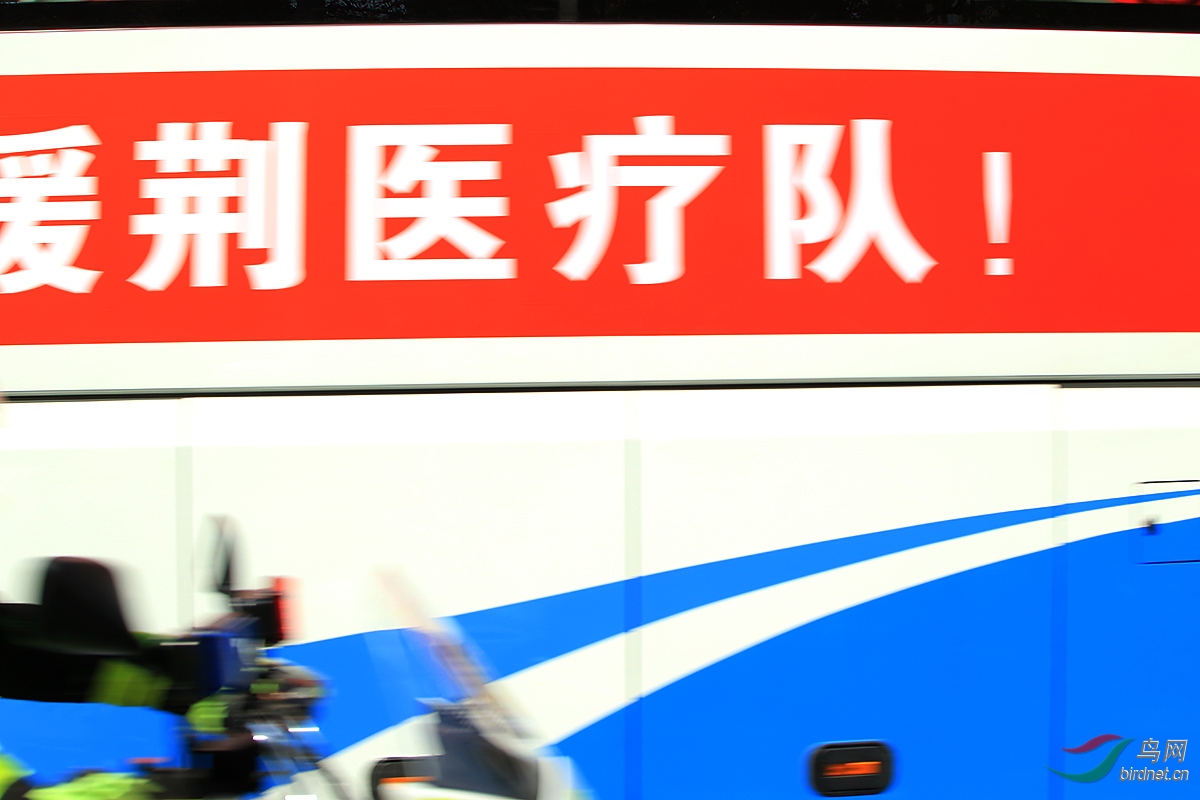 2F4A5377.JPG