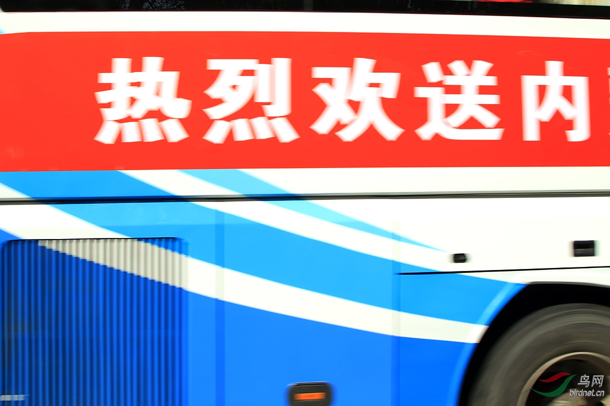 2F4A5378.JPG