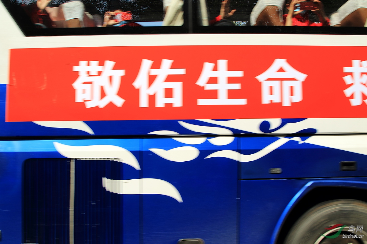 2F4A5401.JPG