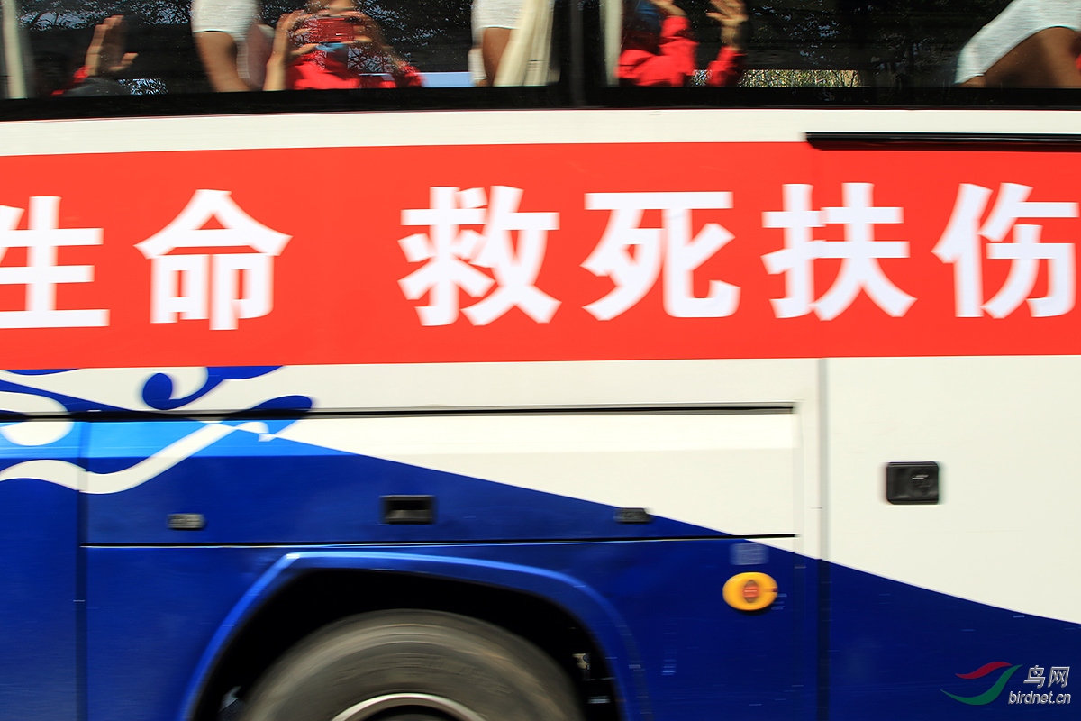 2F4A5399.JPG