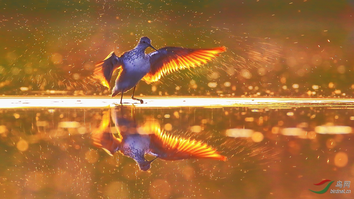 ����֮��