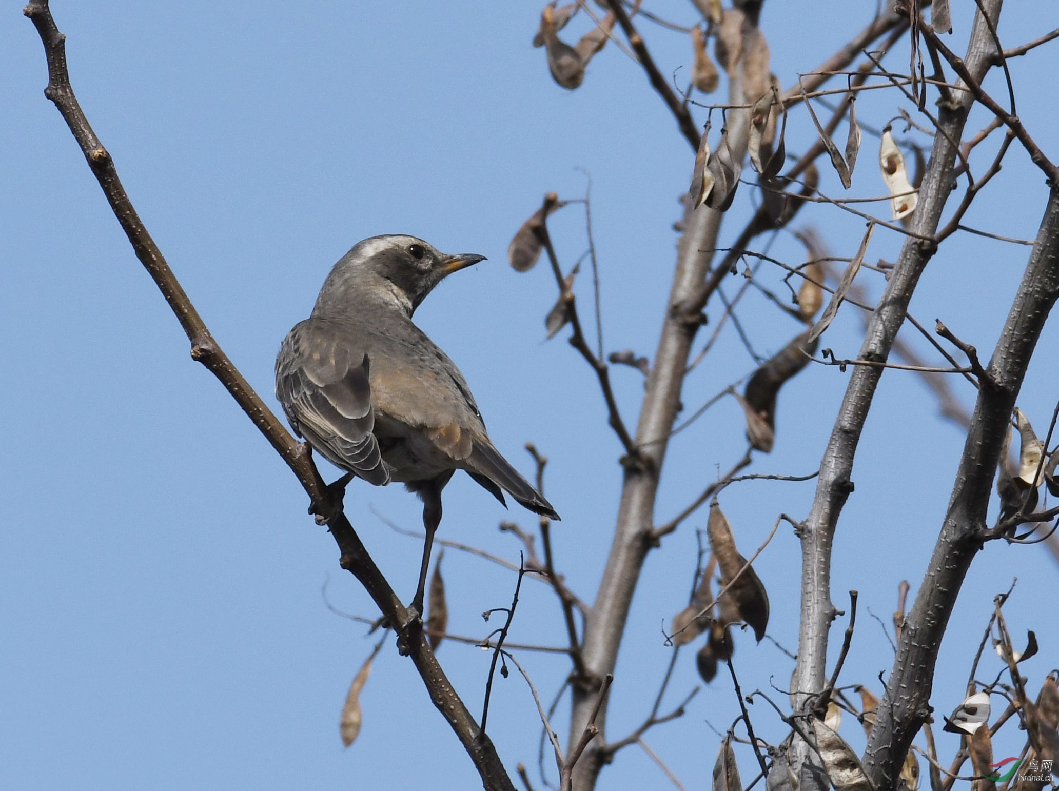 ������Ӱ 1639����.jpg