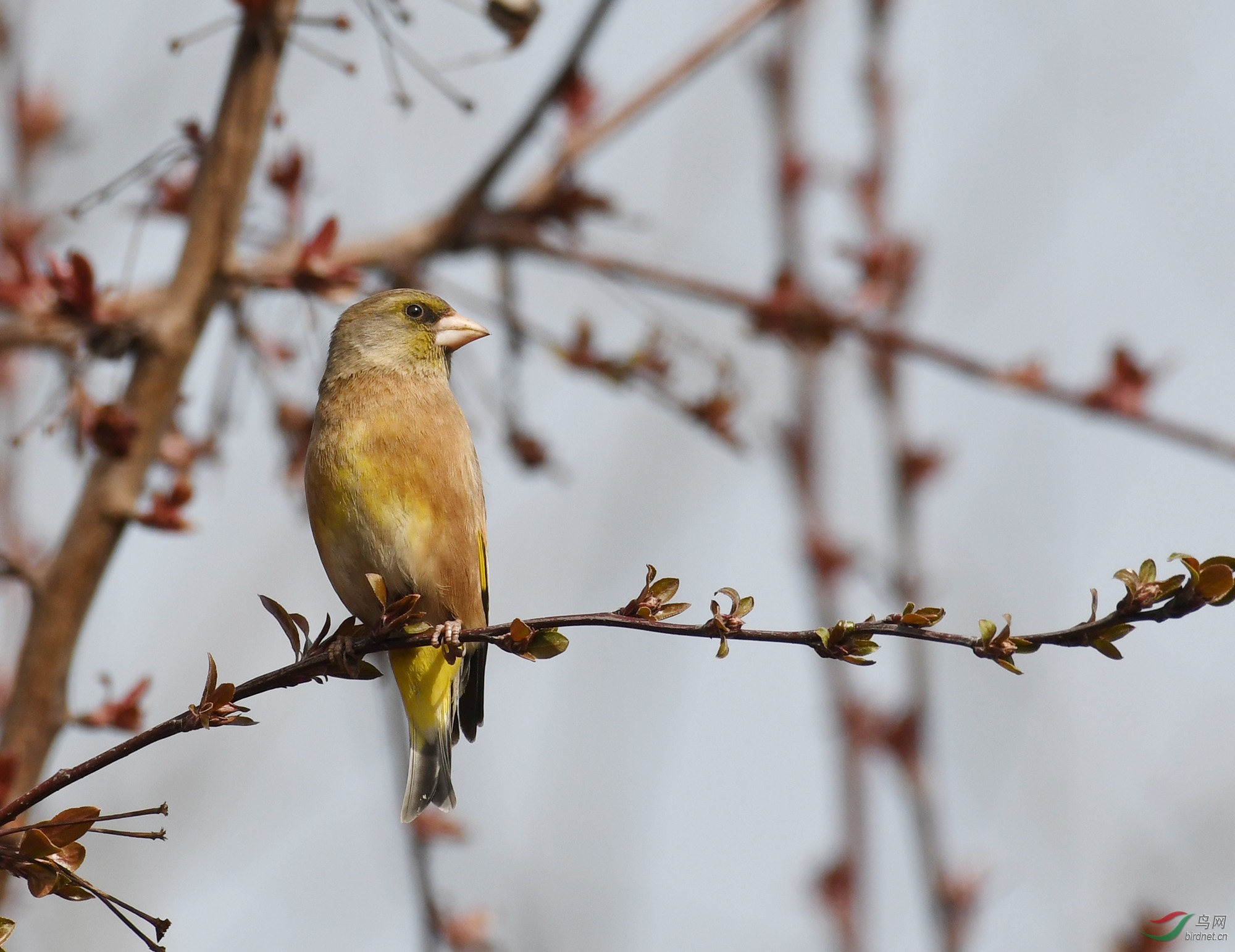 ������Ӱ 1540����.jpg