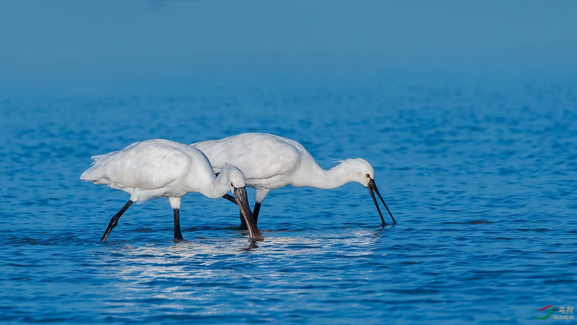 DSC_7134.jpg