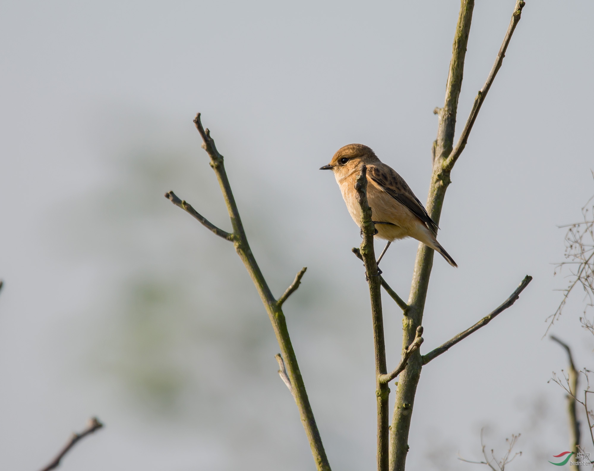DSC_2879.jpg