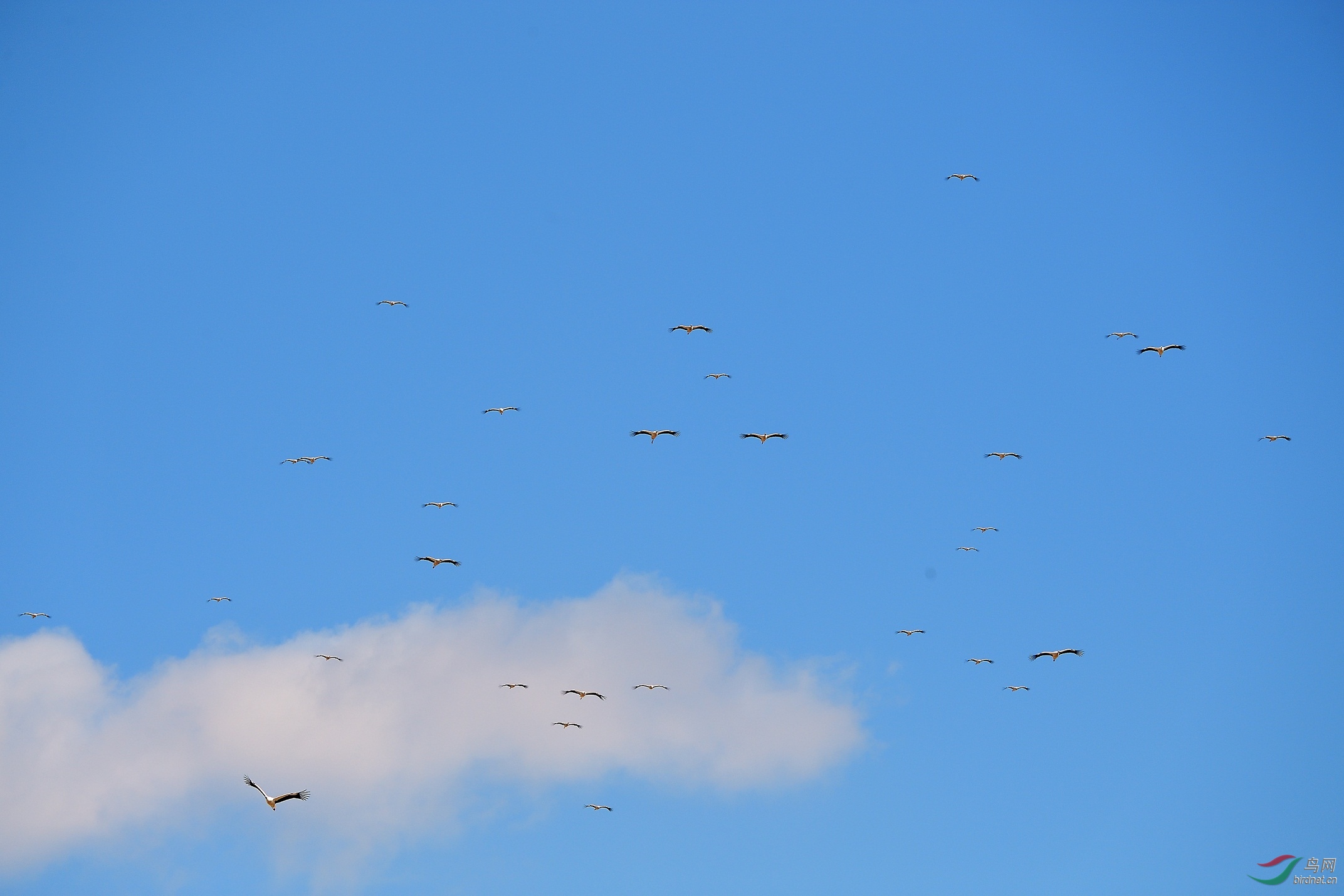 DSC_4852.jpg